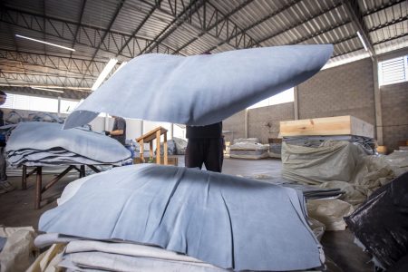 147_AlphaHides Marco24