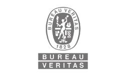 BV-Leap-Logo_250x150px